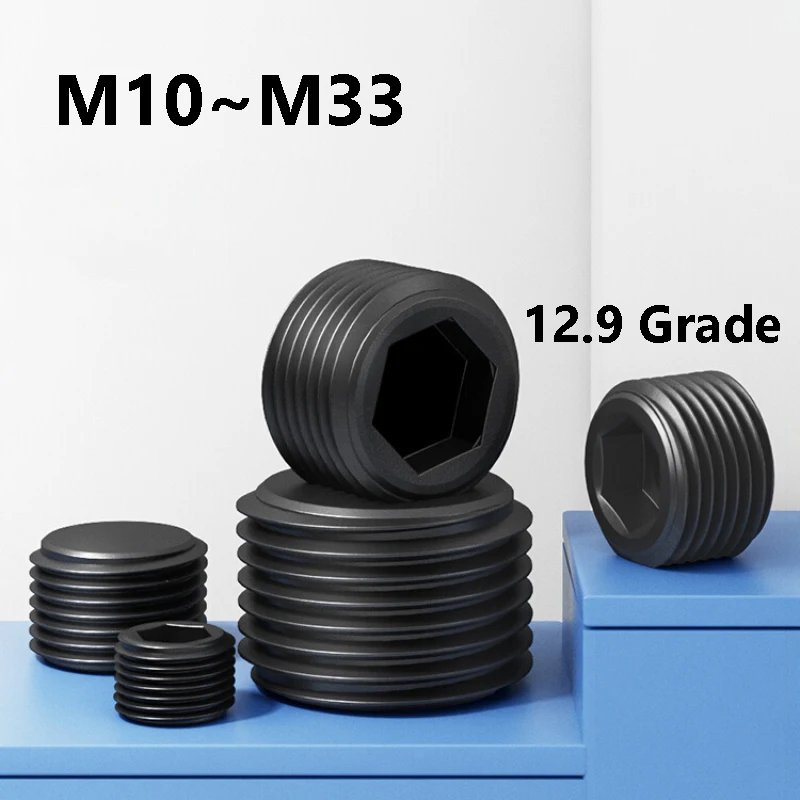 1/2Pcs Cylindrical Hex Socket End Cap Plug Pipe Fitting M10 M12 M14 M16 M18 M20 M22 M24 M26 M27 M28 M30 M33