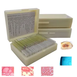 25Pcs Basic Histology Histological Prepared Slide Set