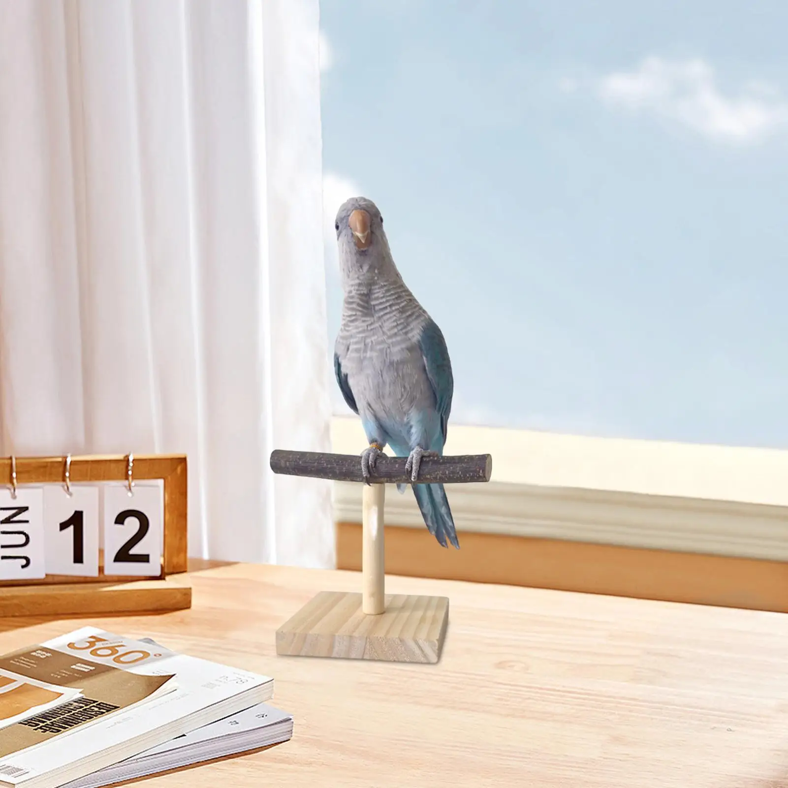 Natural Wood Parrot Perch Stand T Shape Desktop Bird Pet Bird Station Pole Interactive Soothing Feeding Training Stand ﻿