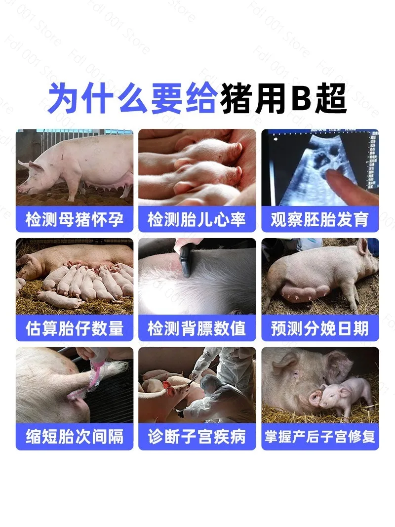 Veterinary ultrasound machine high definition ultrasound machine pregnancy detection convenient