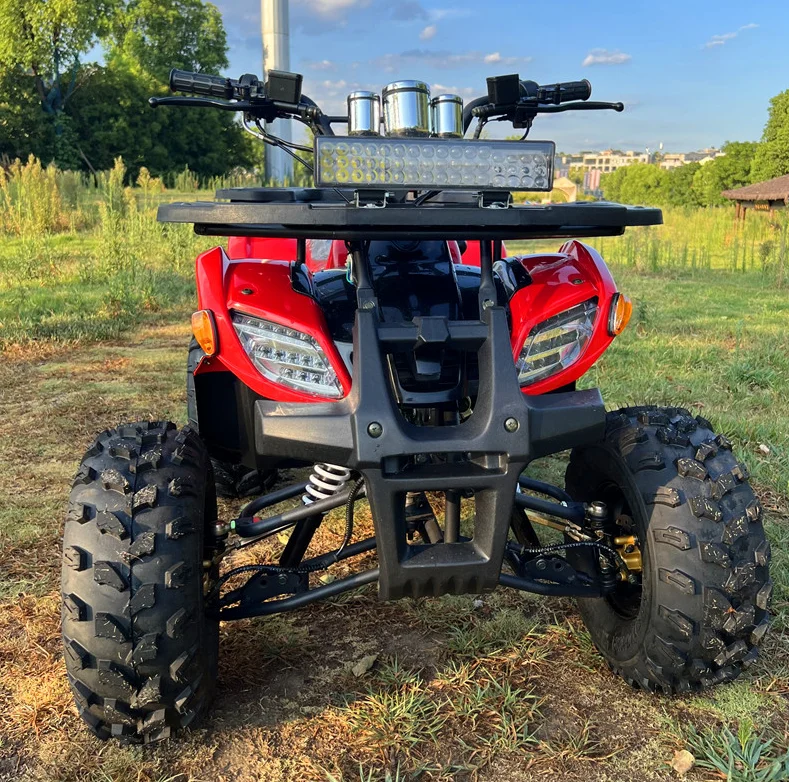 

Factory Wholesale 125cc Air-Cooled 4-Stroke 1 Cylinder Chain Drive 2WD ATV with Electrical Starter CE Certified 65 km/h