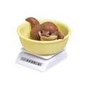 otter A