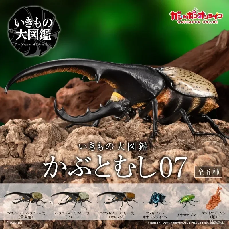 

In Stock Original Genuine Bandai The Diversity of Life on Earth Beetle 7 Authentic Collection Model Animation Character Toy Gift