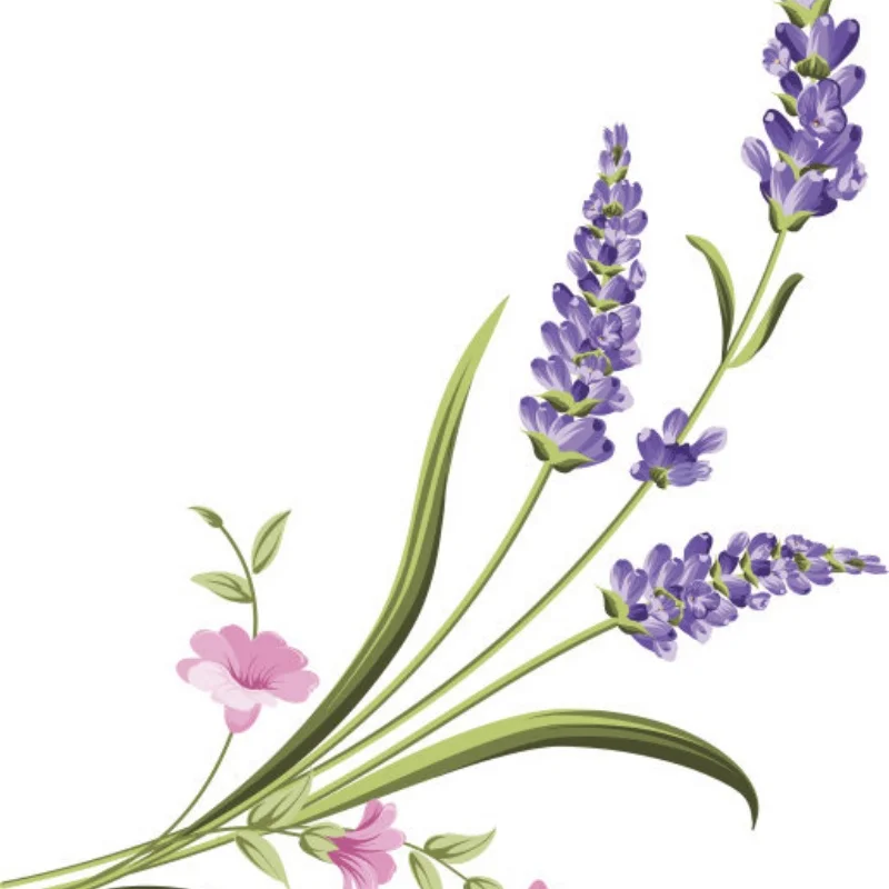 

JX 2205MG Metal Gear Servo Suitable for MJX Remote Control Car 14210 14209 1/14