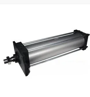 Hot sales Applicable to SMC Brand New Original Authentic Product CS1BN250-300-DNY2569