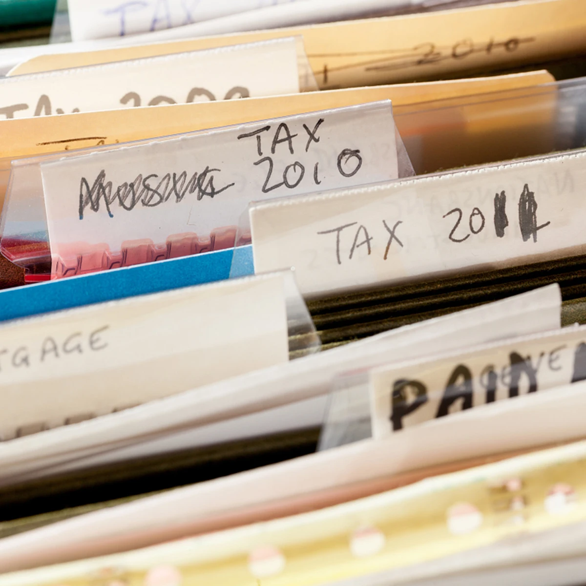 

100pcs Pvc Label Holder Clear File Folder Clips Price Tags Menu Holders Office Retail Stores Transparent Rack Clip