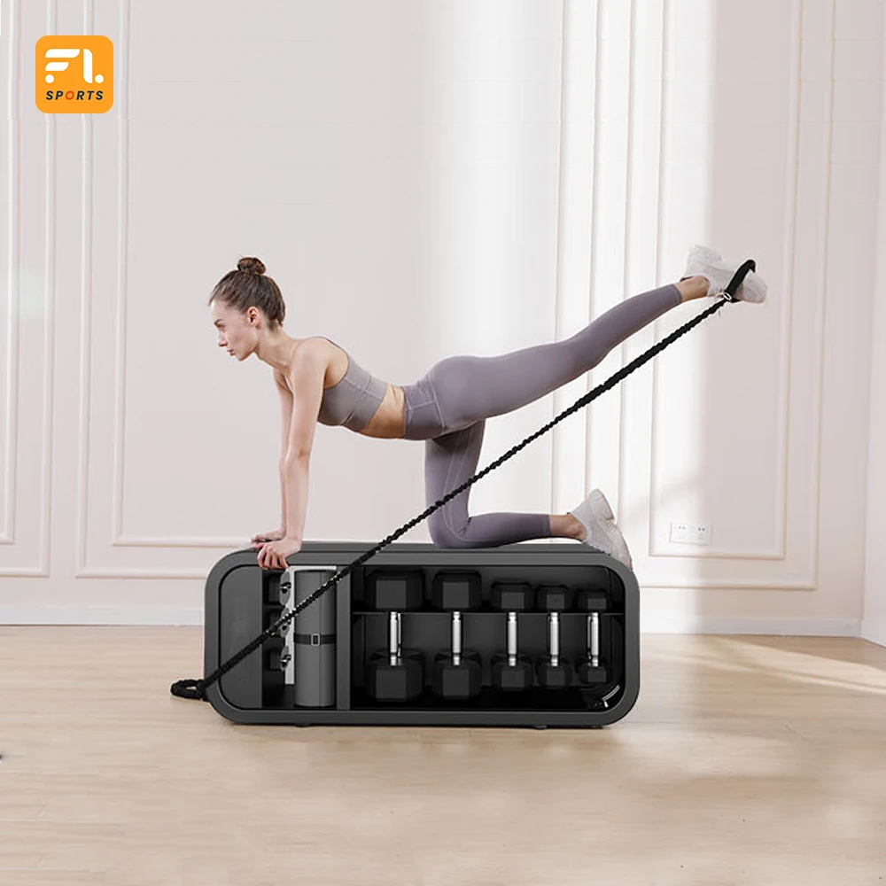 High Quality Strength Training Multifunctional Adjustable Foldable Sit Up Dumbbell Storage Weight Bench