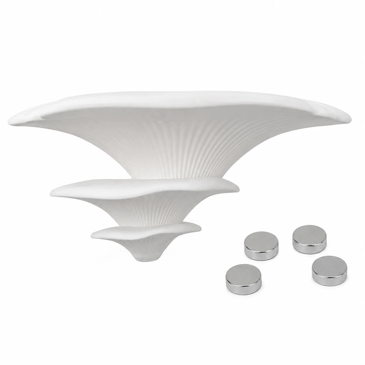 3D Printed Magnetic Mushroom Terrarium Shelf, Wall-Mount Climbing Perch for Jumping Spiders & Small Geckos