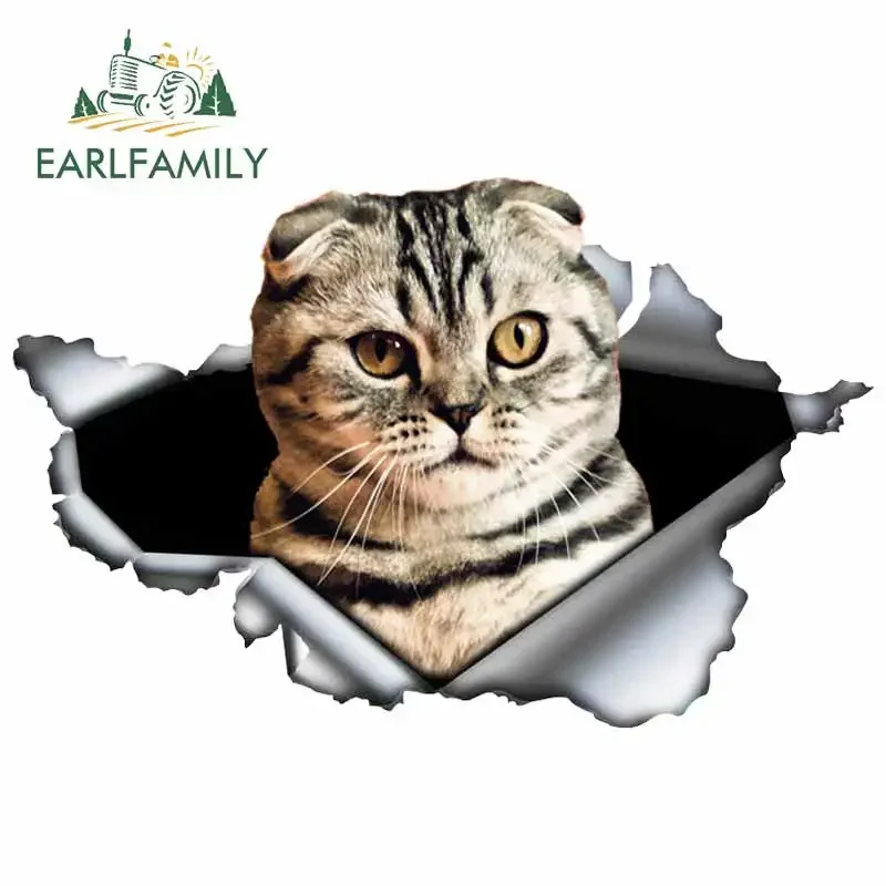 Earlfamily 13Cm X 8…