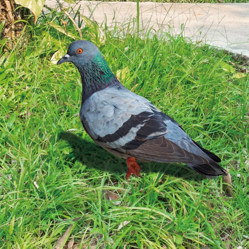 Garden Pigeon Statue 2D Acrylic Wild Pigeon Sculpture For Yard Decor Double-Sided Printing Weatherproof Pigeon Figurine For Farm