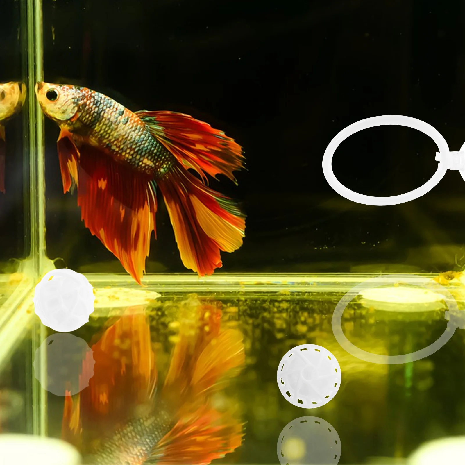 

1 set 1 Set Betta Fish Training Ring Strong Suction Cup Aquarium Exercise Tool Fish Tank Interactive Biological Filter Media