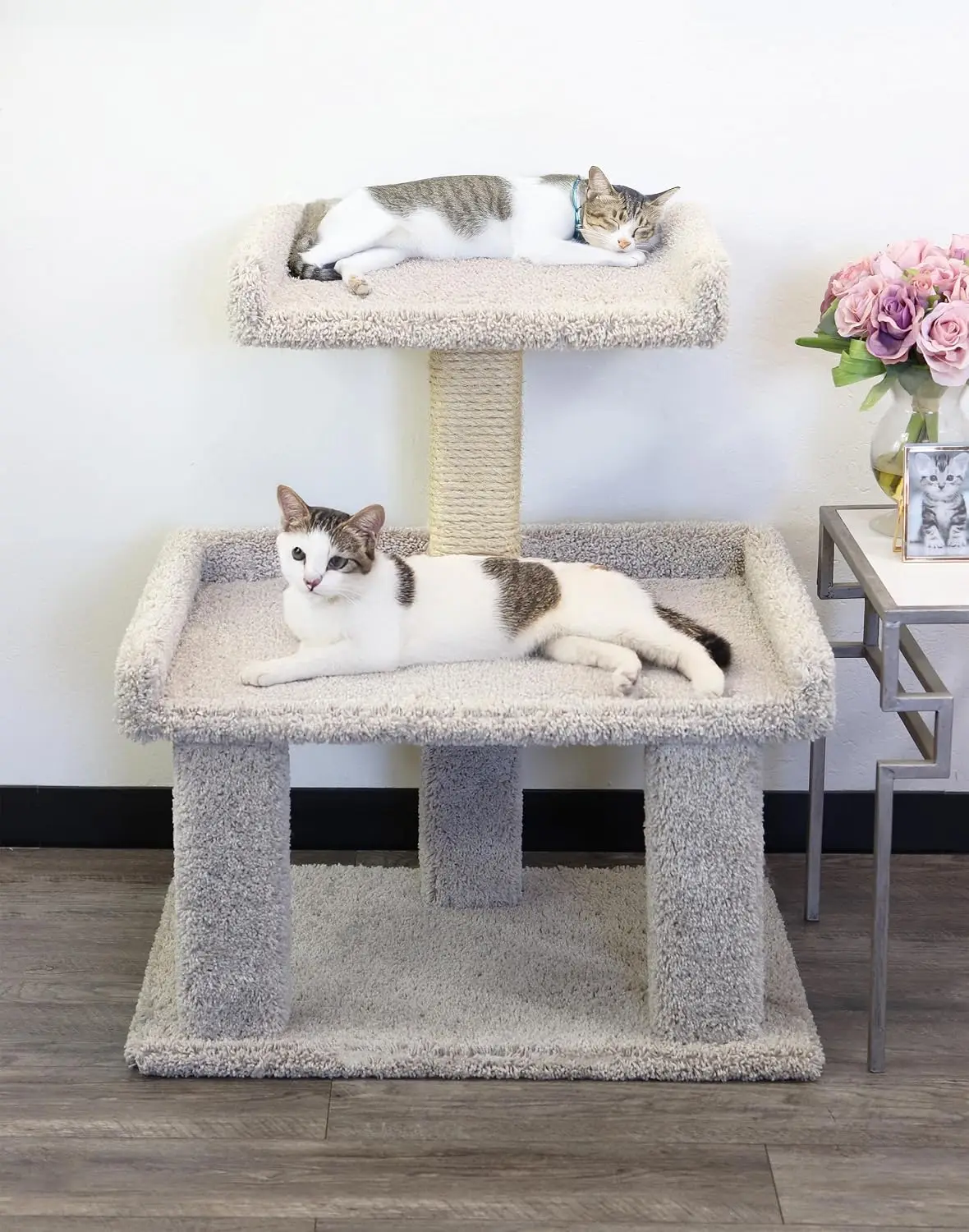 Maine Coon Cat Perch Large Wall Mounted Climbing Shelf Heavy Duty for Big Cats 20lbs Capacity, Customized