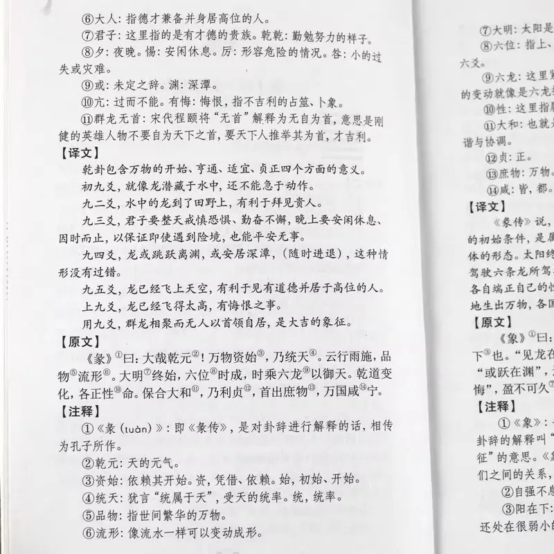 Libro El I Ching - Filosofía Antigua - usage example