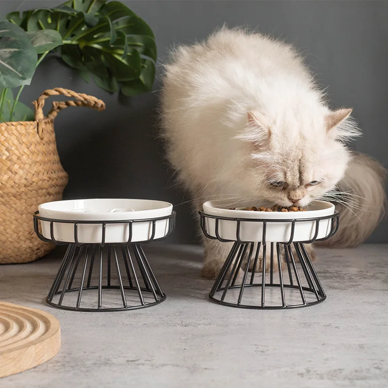 Thumbnail 3 - #32 Latest Slow Dog Feeder Bowls Offers