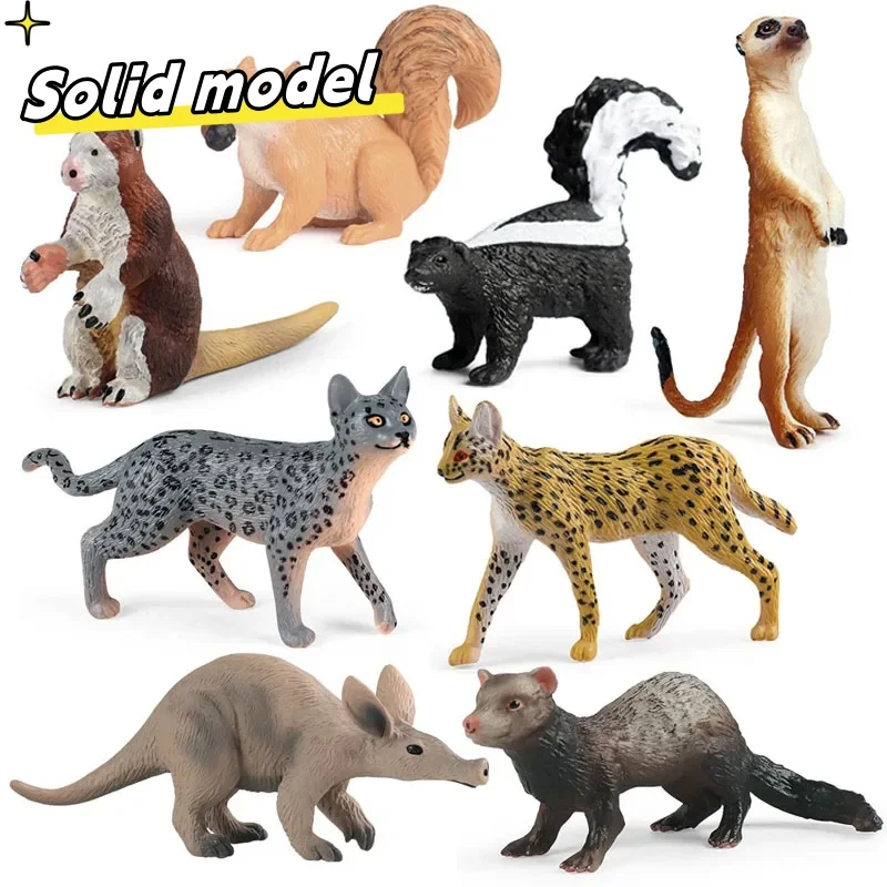 Wildlife Animal Skunk Mongoose Squirrel Snow Leopard Cat Serval Action Figures Ferret-Polecat Earth Pig Kangaroo Miniacture Toys