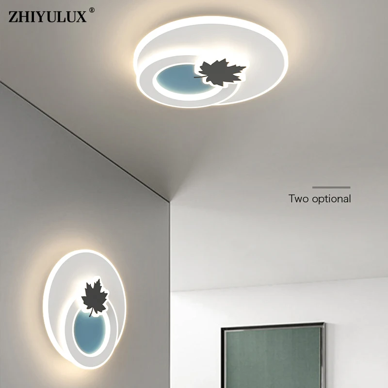 Creative Special Acrylic New Modern LED Ceiling Lights For Living Study Room Bedroom Apartment Hall Aisle Lamps Indoor Lighting