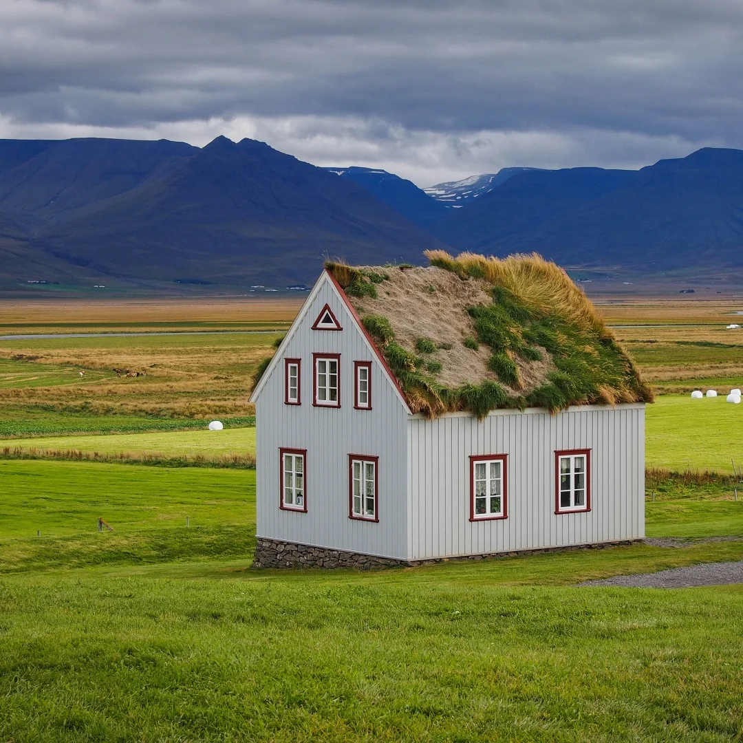 

Car Radio For Ford Mustang 2015-2022 Wireless Carplay GPS Multimedia Player Android Head Unit DSP GPS Navigation Stereo DSP