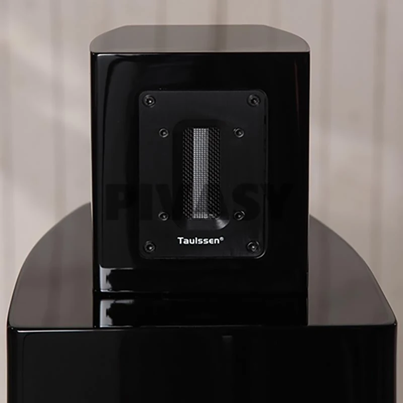 

60 Вт 6 Ом Фирменная Новинка Независимая Лента Супер Твитер Внешний Твитер Динамик Лихорадка Пассивный Звуковой Коробка Расширение