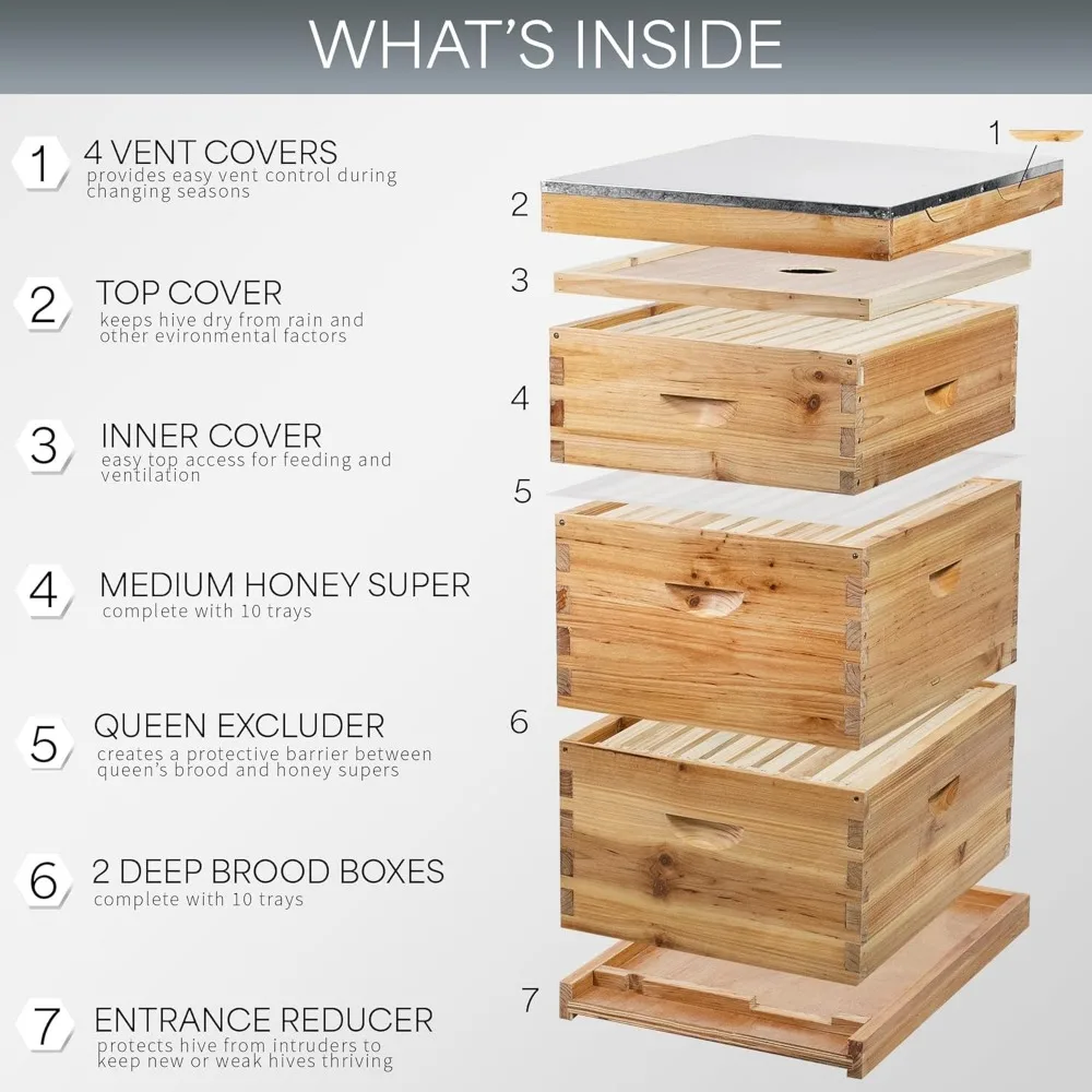 Complete Langstroth 10 Frame Beehive Kit 100% Beeswax Coated, Top Vents, 2 Deep Boxes and 1 Medium Box, Waxed Frames