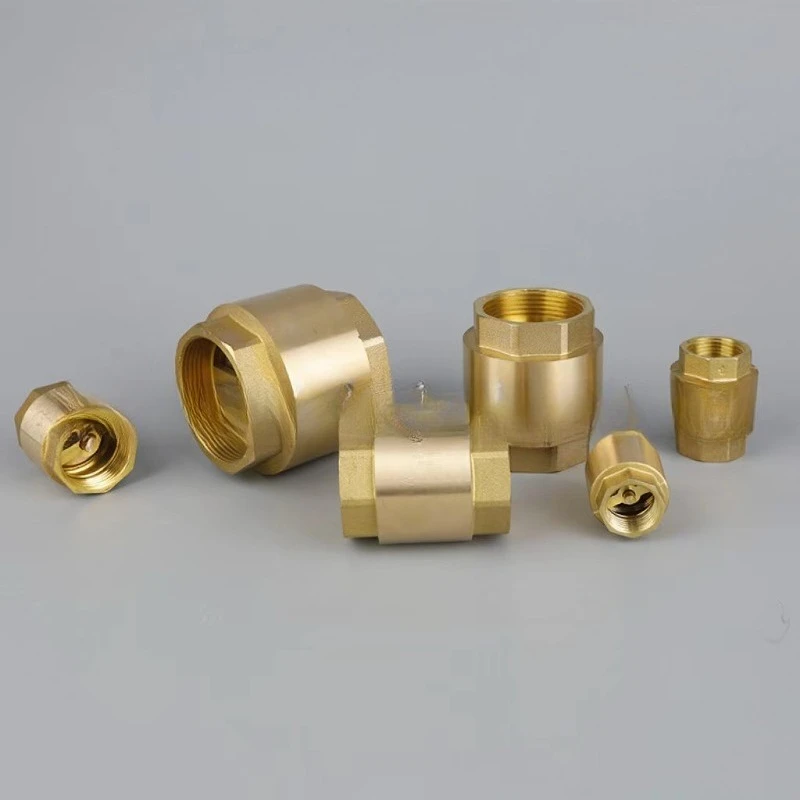 Vertical Brass Check Valve Spring Type Thickened Tap Water Pipe Non-Return One-Way Valve 1/2, 3/4, 1 Inch
