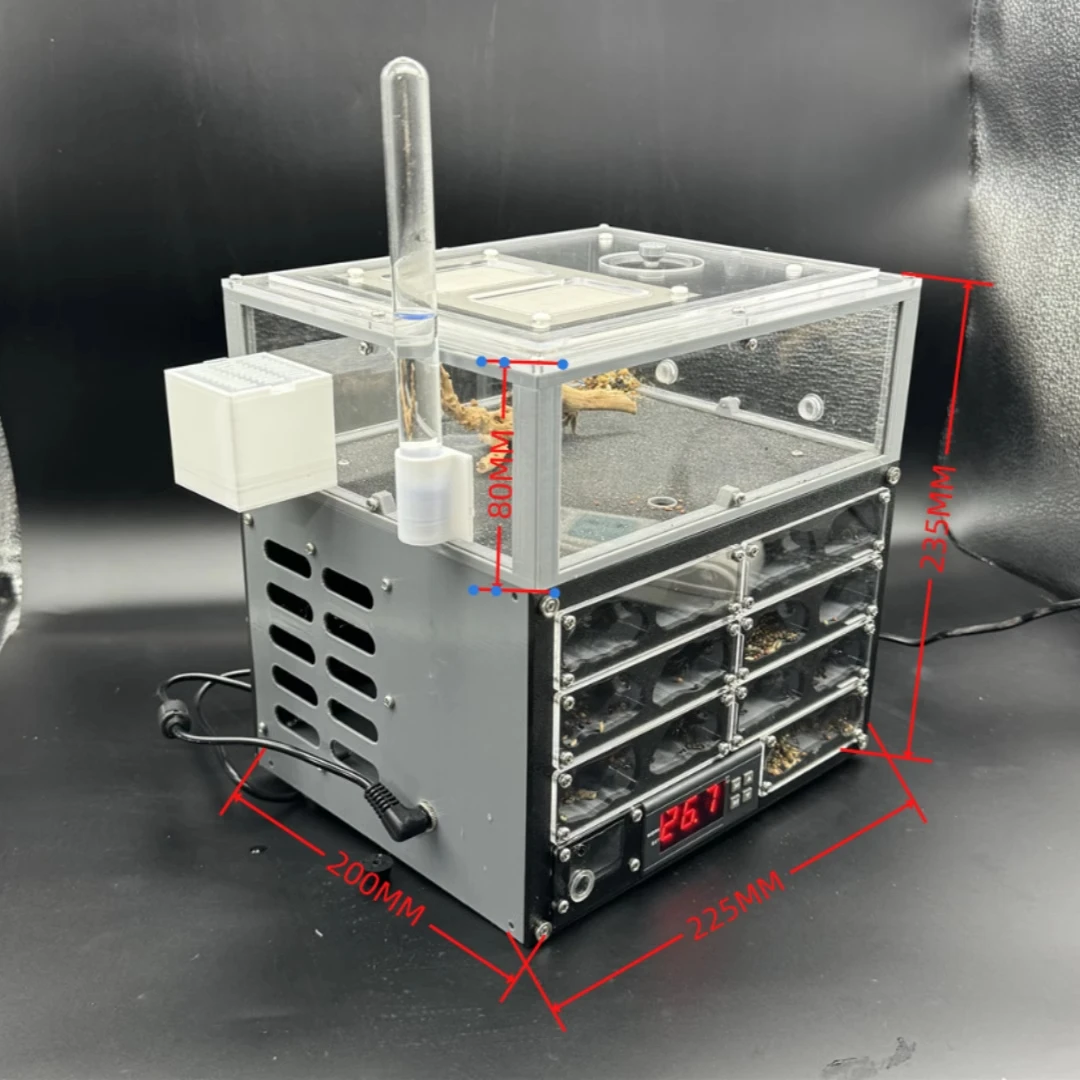 3D Acryl Thermostat Ant Farm Ecological Flat Ant Nest with Feeding Area Gypsum ligh Ant House Pet Anthill Workshop Moisturizing