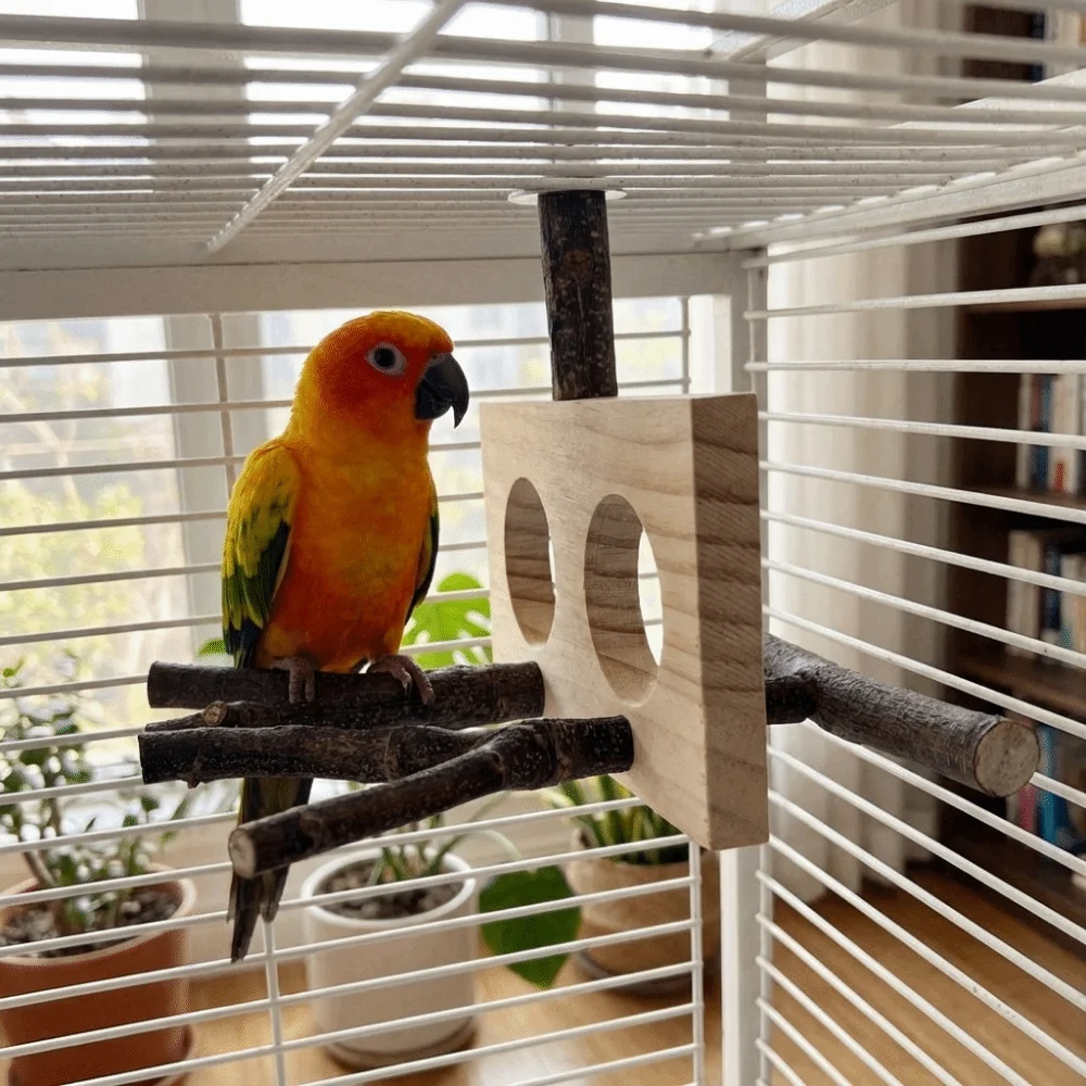 Natural Wood Bird B…