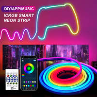 5V USB RGBIC Neon LED Strip Lights with Bluetooth APP Control Music Sync Waterproof Flexible Tape for Gaming Room Party Decor