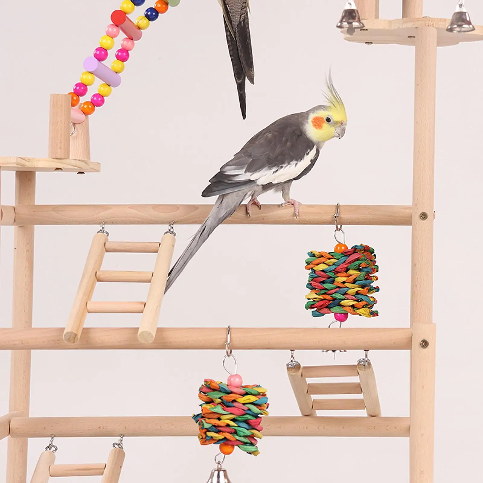 Parrot Playground Bird Gym Activity Center Bird Cage Accessories with Ladder Exercise Toy Bird Playstand for Budgie Lovebird