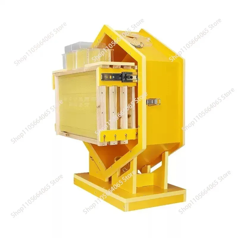 indoor beekeeping equipment Hexagonal wall mounted beehive breeding ornamental box
