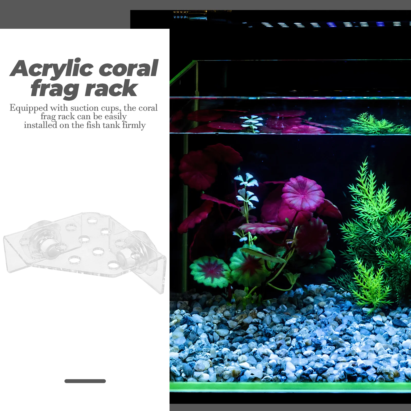 

Acrylic Rack Suction Cups Wear-Resistant Clear Coral Holder Fish Tank Aquarium Accessories Compact Coral Stand Holder