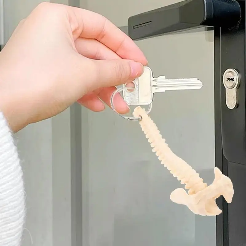 Educational Human Spine Skeleton Model Keychain Car Chain for Anatomy Enthusiasts Portable Classroom Teaching Tool