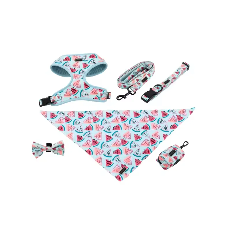 

New Arrivals Personalized Dog Leash Six Piece Chest Back Style Pet Leash Dog Collar Dog Harness Set