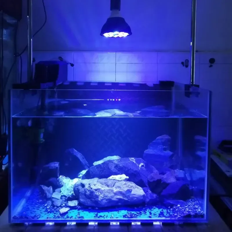 Hot Selling PAR38 Full Spectrum LED Aquarium Light for Coral Reef Fish Tank