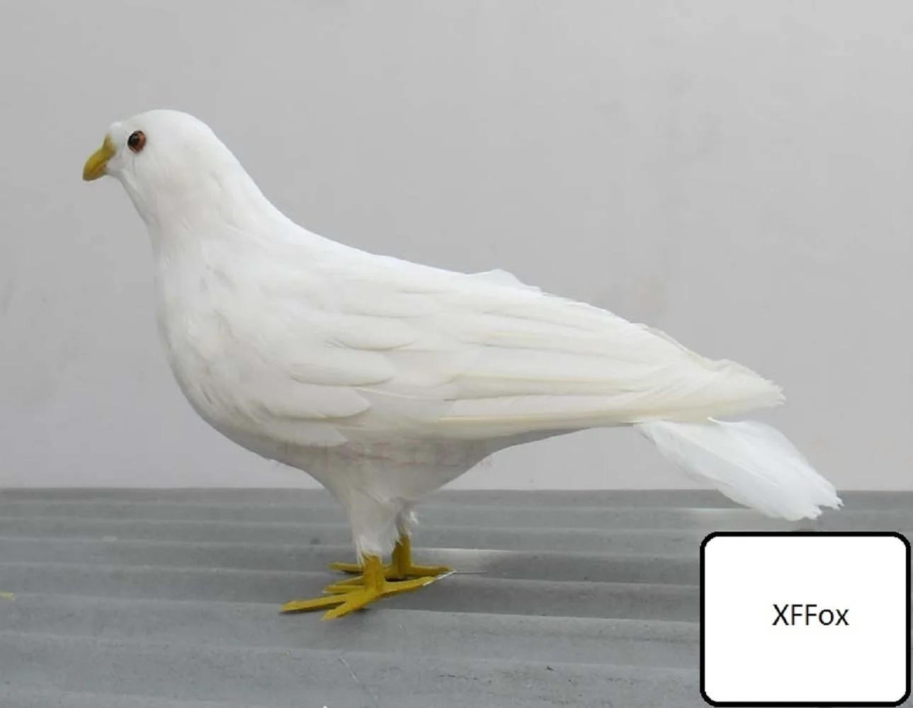 

big real life pigeon model foam&feather dove bird doll about 35x11x22cm xf0052