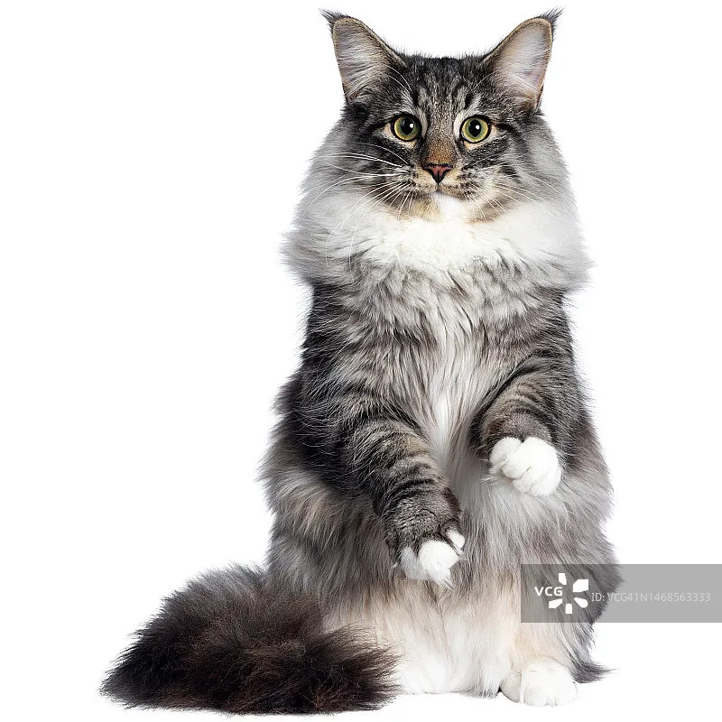 

IFlight BLITZ E80 80A Одиночный ESC 2-8S BlHeli32 Dshot600 G071 MCU с алюминиевым корпусом с ЧПУ для FPV-дронов и радиоуправляемых гоночных квадрокоптеров