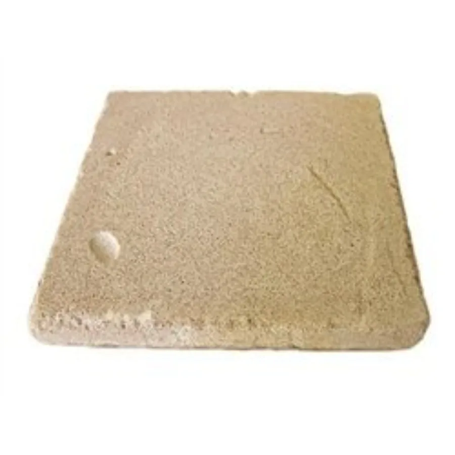 

Xport BIO Plate - Ultra-porous Biological Plate Media with Superior Performance in Filtration Media 1 Piece
