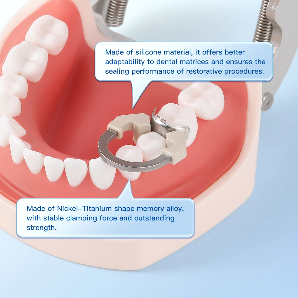 3-teiliges AZDENT Dental-Sektionsmatrizesystem, Matrizen, Clip-Ring, konturierte Matrizenbänder, Titan-Klemmring, universell schmal, tief – Detail 12
