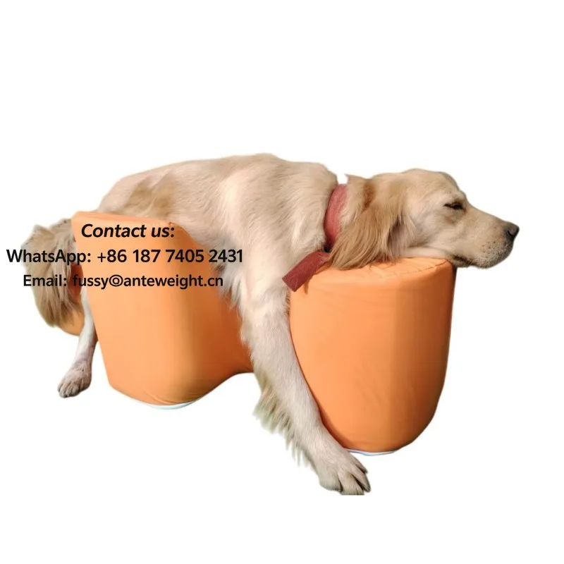 

Senior Dog Rising Aid, Anti-Slip Orthopedic Cushion for Joint Care & Post-Surgery Recovery | Assist Standing for Paralyzed Pets