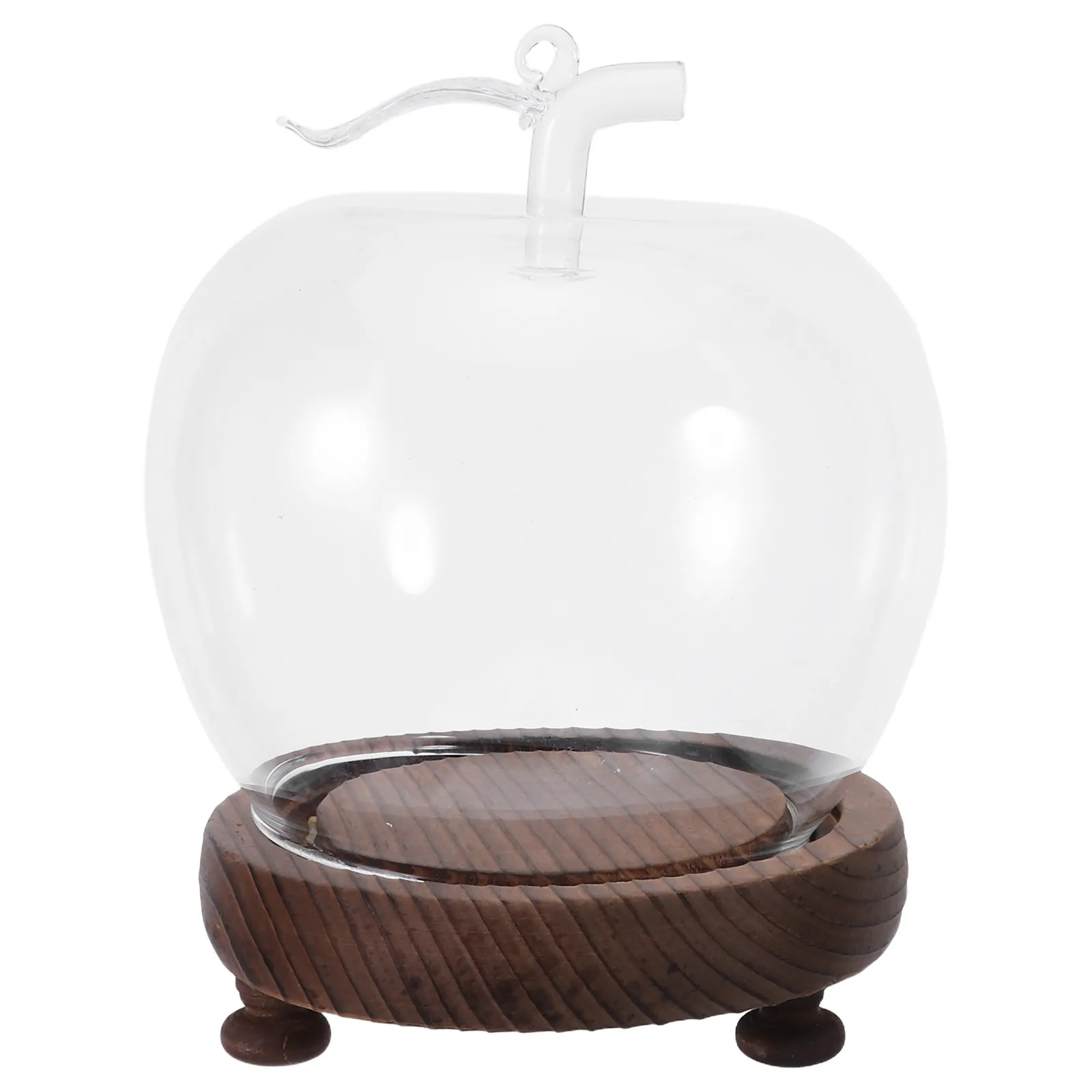 Glass Dome Cloche with Light Base Shaped Countertop Display Dome for Decor Clear Glass Display Cover Dustproof Home Decor