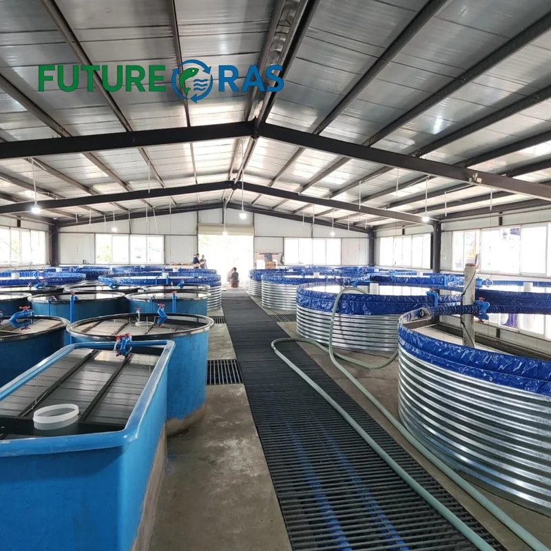 AIROW FUTURERAS balık yetiştir - Farm Pond Liner incelemesi ve fiyatı