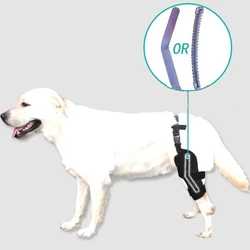 Dog Knee Support Brace Pet Cruciate Ligament Patellar Dislocation Fixation Strap Protecting Dogs Hock Fracture Knee Guard