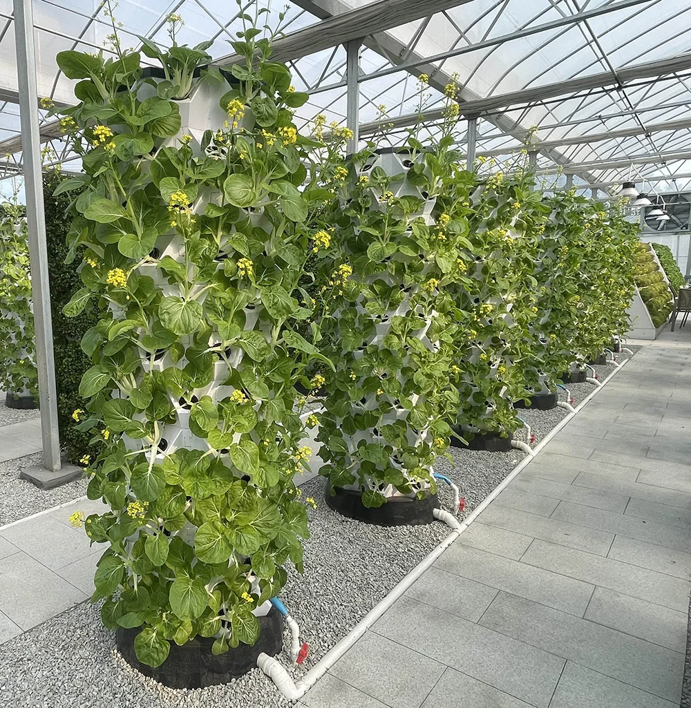 نظام حديقة عمودية هيدروبونية ج - مراجعة Hydroponic Tower وسعره