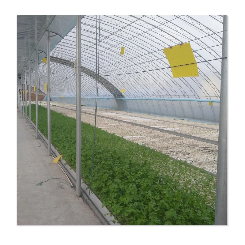 농업용 차광막 메쉬 70% HDPE 온실용 짙은 녹색 농업용 차광망