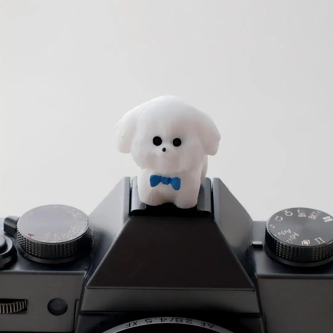 Cute Happy Dog Series Hot Shoe Cover for Leica Q2 Fuji X100V X-T5 Sony ZV-1 Canon EOS R5 Nikon Z5 Camera Accessories view 4