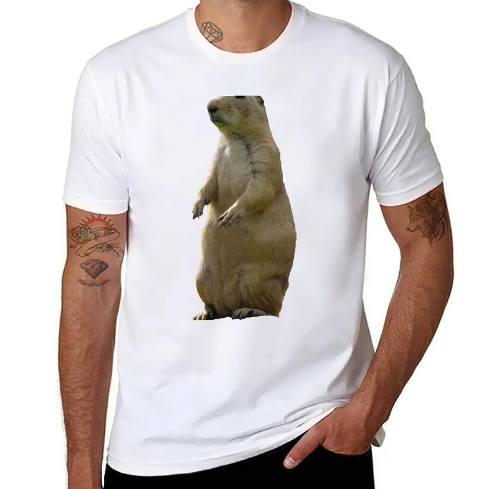 

Marmot T-Shirt t shirt for man cotton t shirt pack T-Shirt