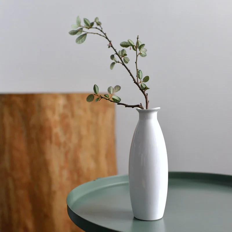 

Vase Ceramic Hydroponic Flower Device Suitable Countertop Desktop Home Restaurant Bottle Simple Home Decoration American Simple