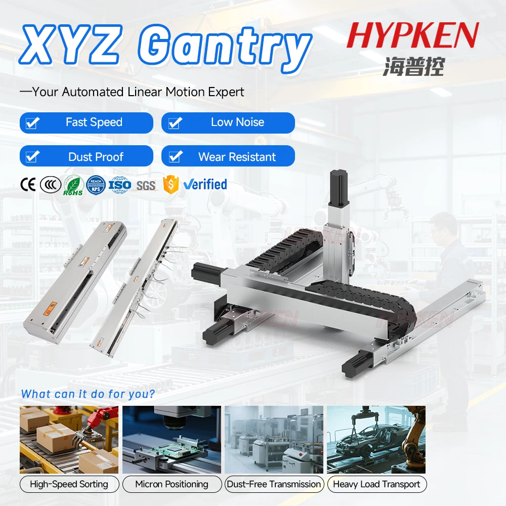 High Precision 100-6000mm  Gantry Robot 3-axis Linear Module Slide Stage Cross Table Milling Textile Packaging  Bearing