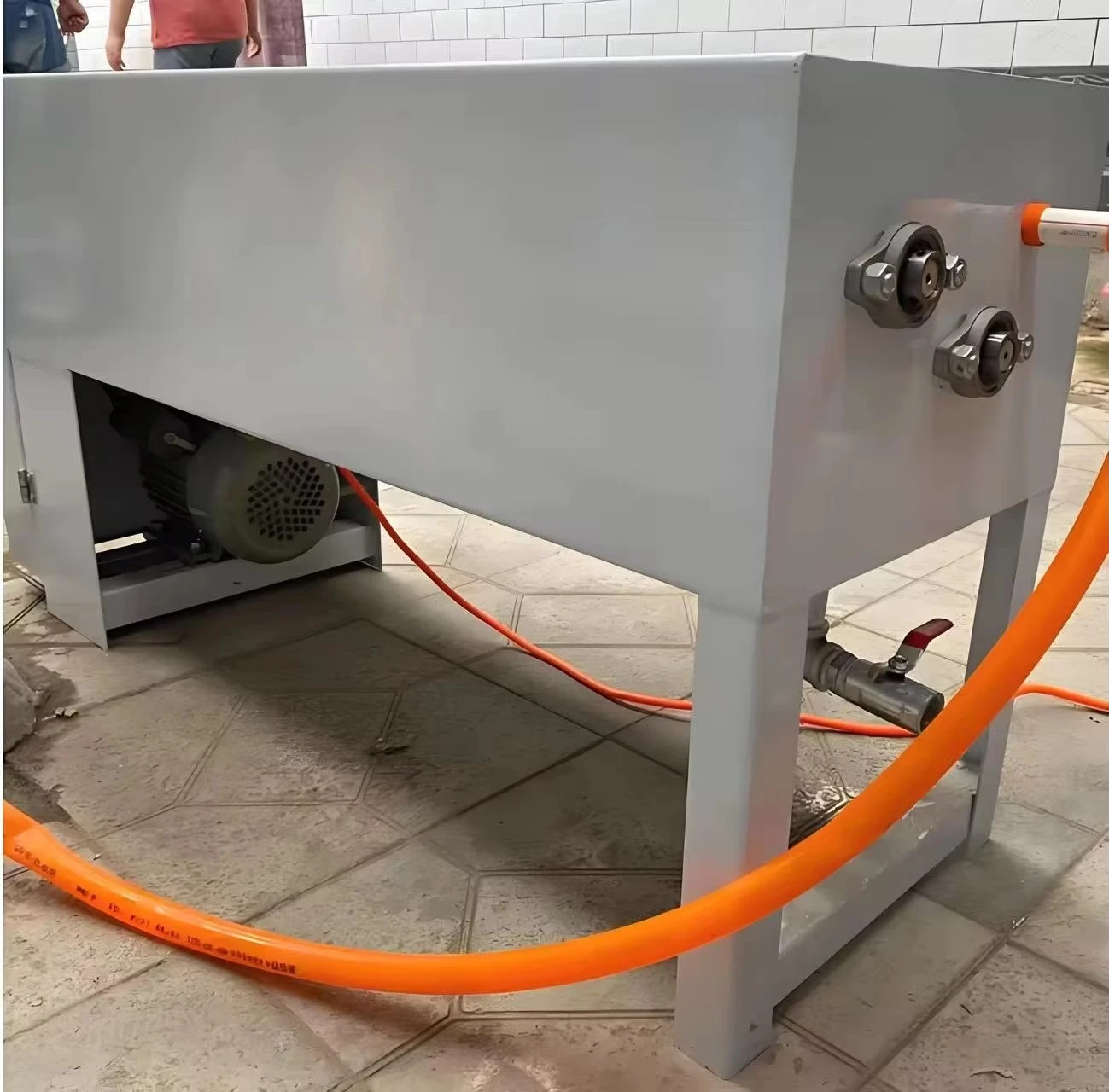FOODLINE Large Capacity Egg Cleaning Machine Stable Conveyor System For Complete Egg Processing Line
