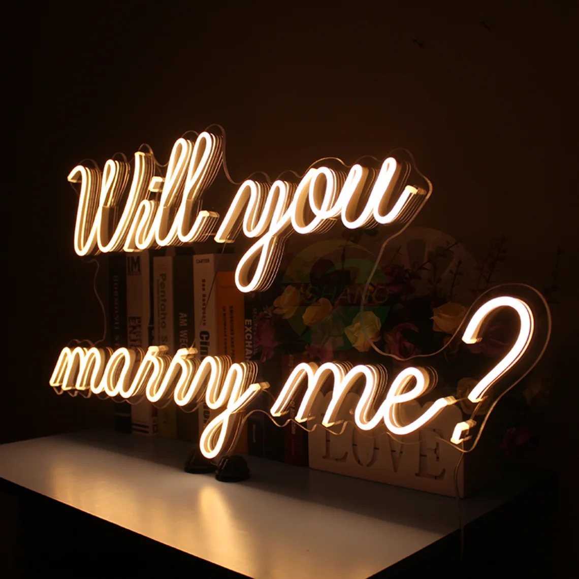 Will You Marry Me? Neon Signs Marriage Proposal Confession Valentine's Day Neon Lights Customized Neon Lights