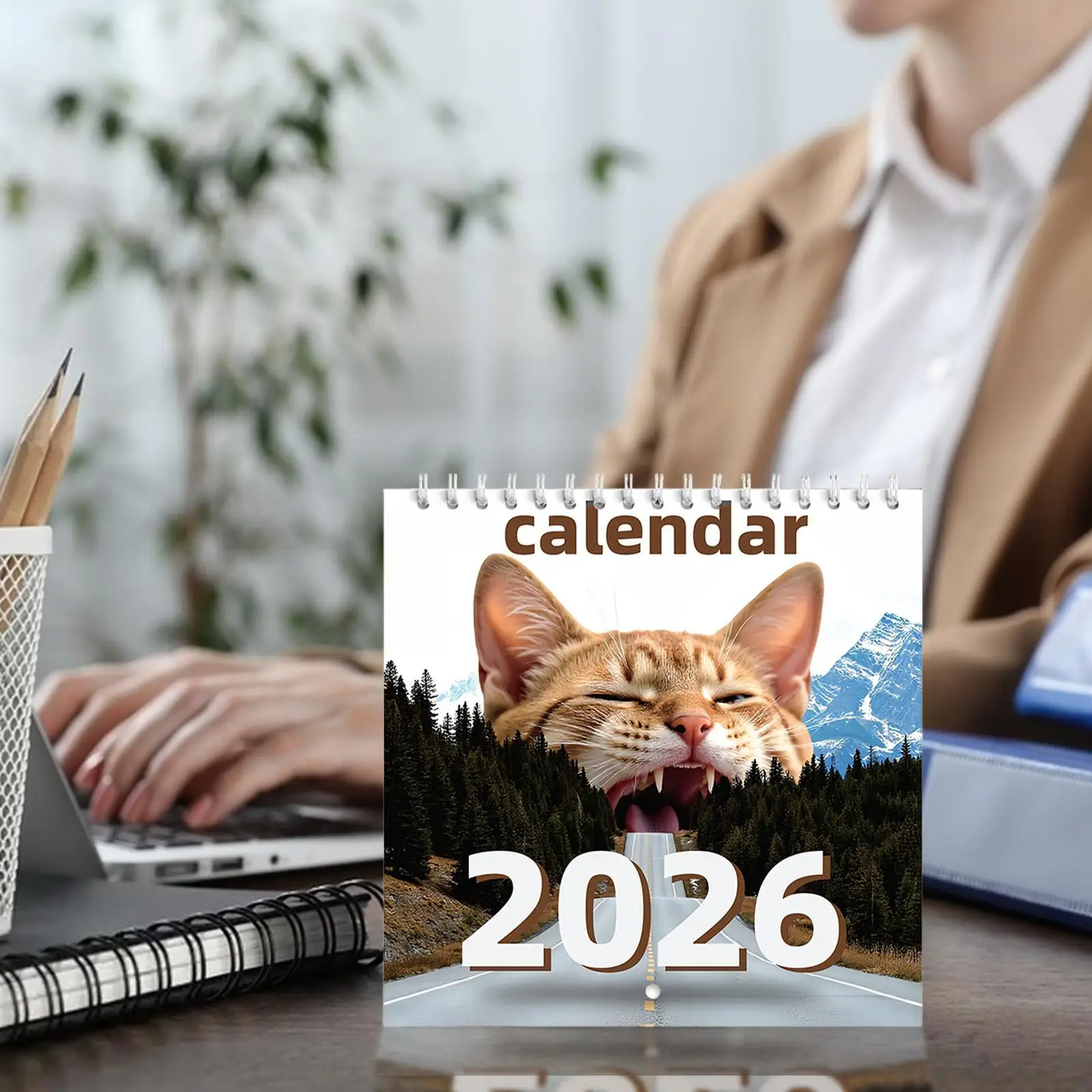 Calendario per gatti 2026 Calendario per gatti divertente Strumento di programmazione di promemoria per le vacanze verticali mensili per ragazze Insegnanti Adulti Ragazzi Studenti